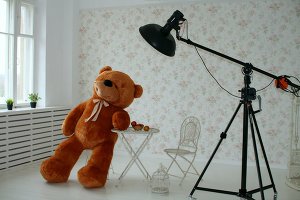 Фотосессия мишек как это было...