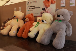 Пикник Афиши 2014 и мишка Тихон